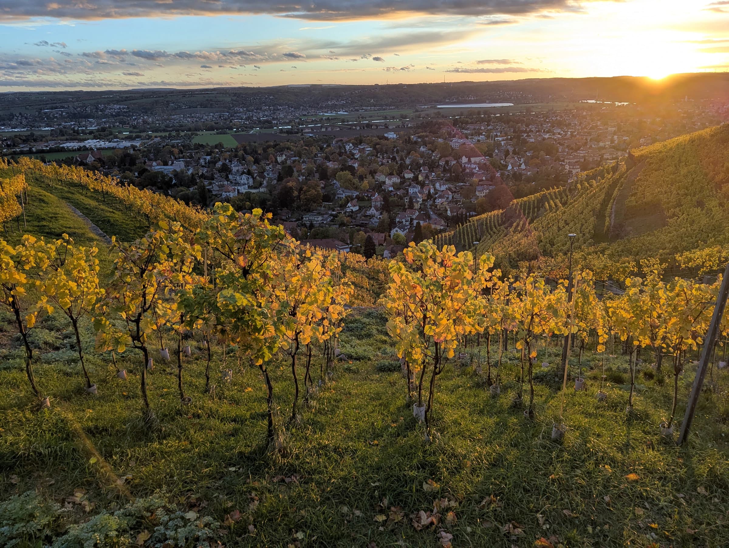 Terrasse mit Aussicht auf die Weinberge im Sonnenuntergang.
